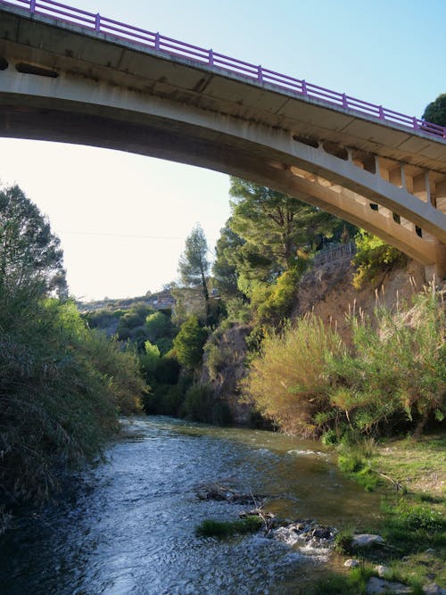 Free stock photo of bridge, river