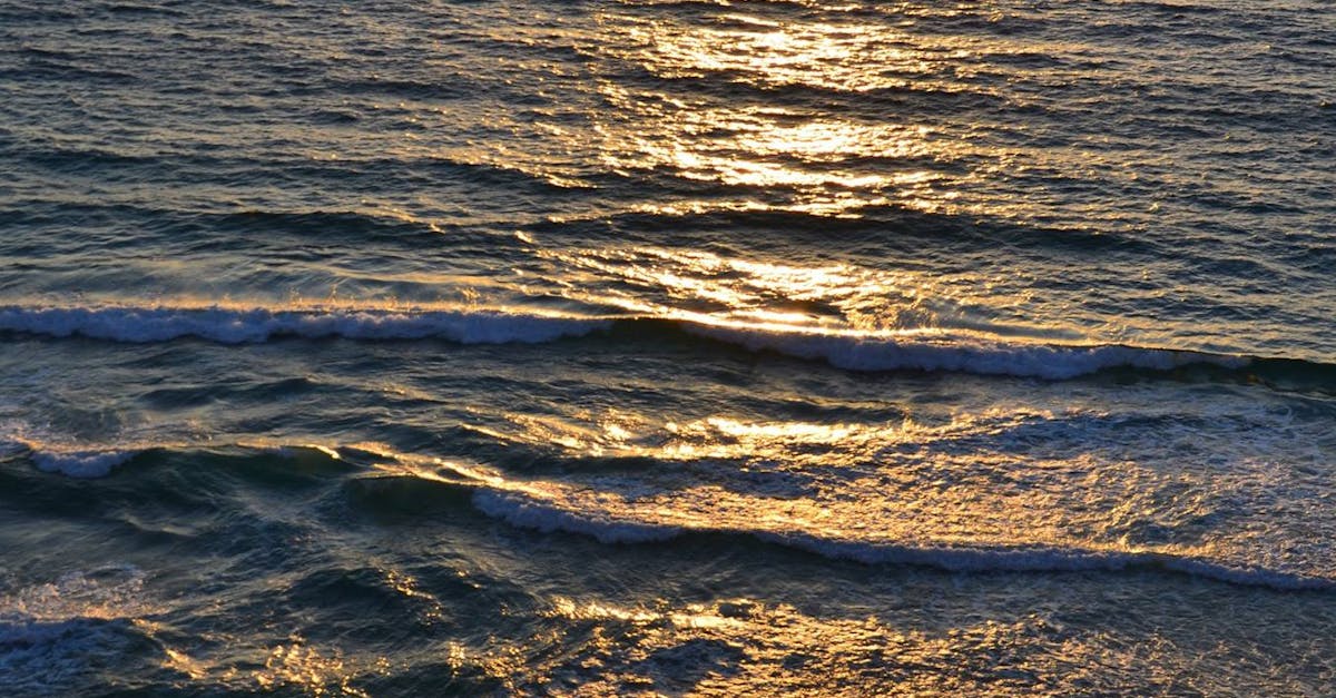 Free stock photo of beach, sea, sunset