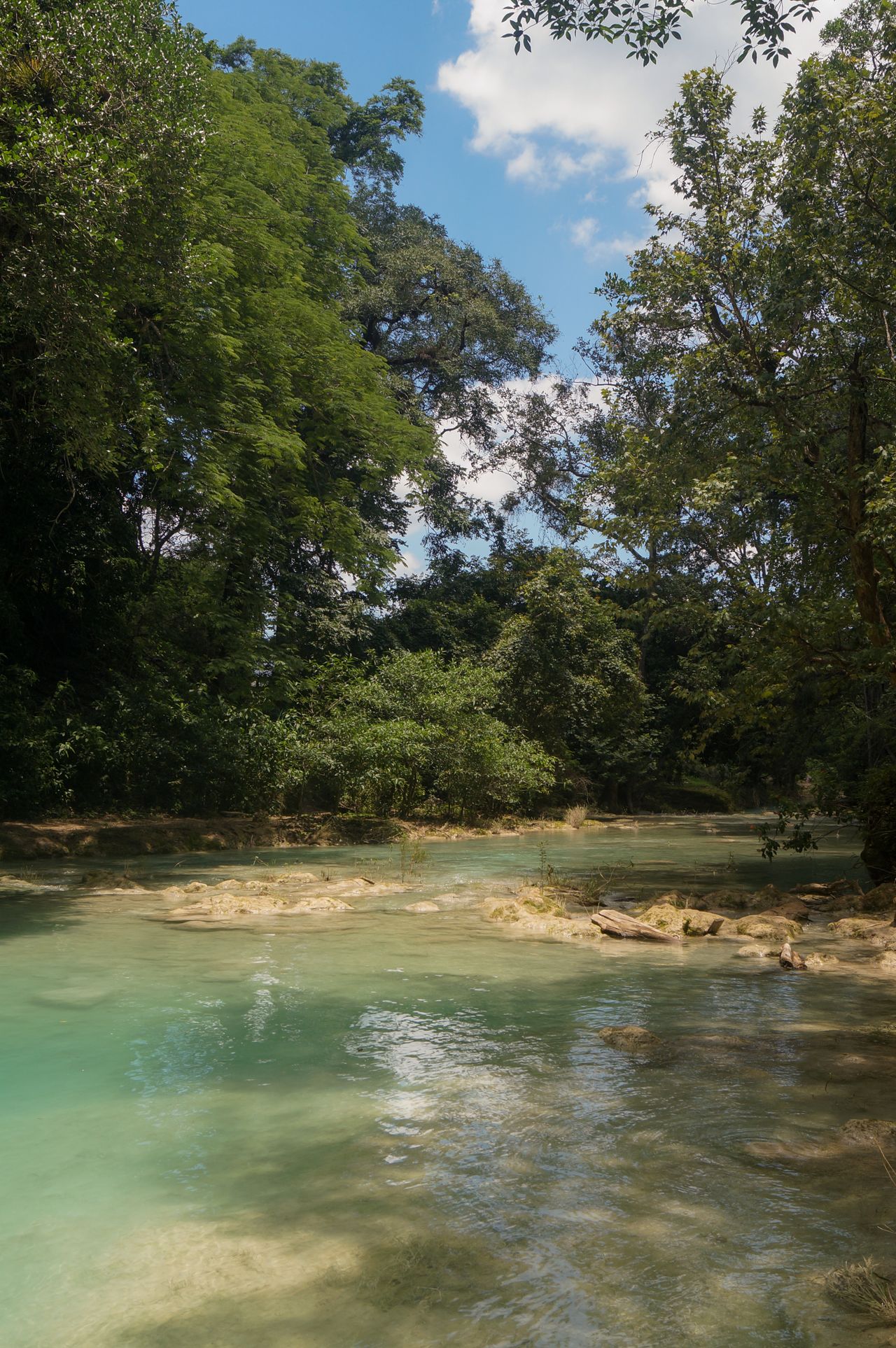 Bateau remontant la New River à travers la jungle dense du Belize
