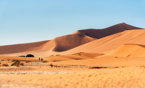 休閒, 沙丘, 沙漠 的 免費圖庫相片