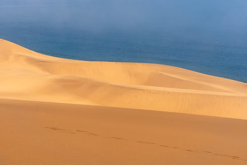 Imagine de stoc gratuită din căldură, coastă, deșert