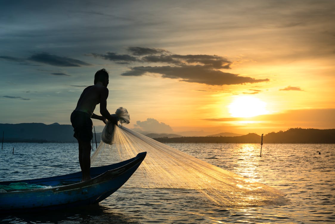 Man Pulling Fish Net Out Of The Water