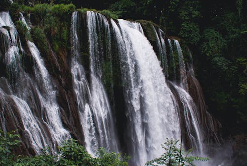 Безкоштовне стокове фото на тему «Водоспад, гондурас, дерева»
