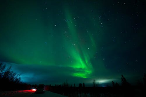 Foto profissional grátis de árvores, astronomia, aurora