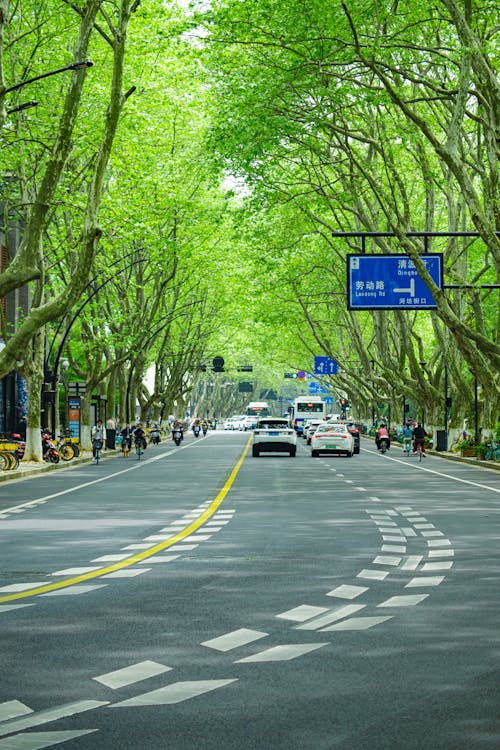 A tree lined street with cars driving down it