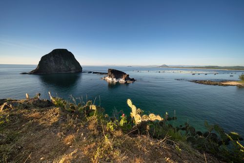 Free Beautiful coastal scene featuring rocky island, calm sea, and cacti under a bright sky. Stock Photo