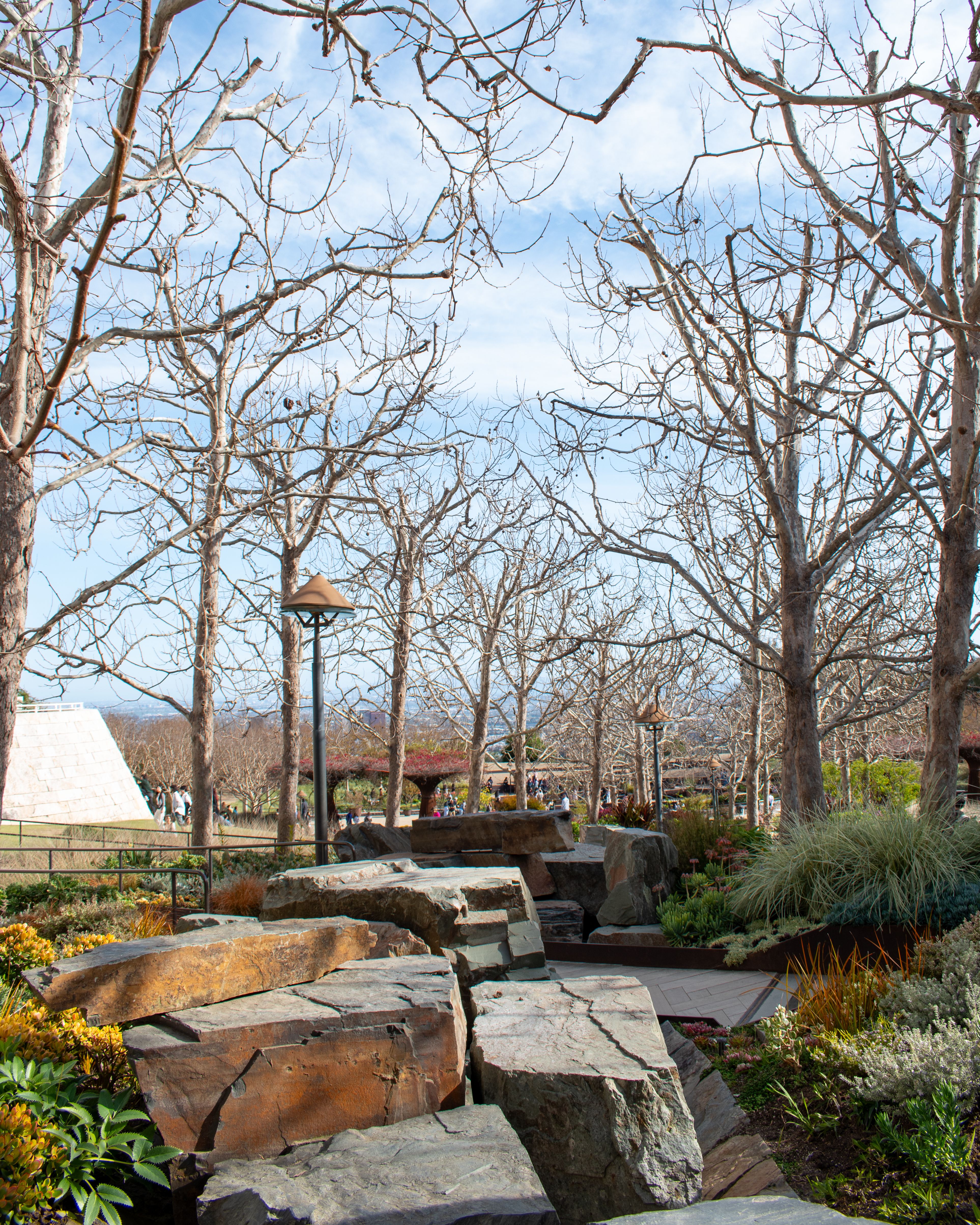 A park with rocks and trees in the middle · Free Stock Photo