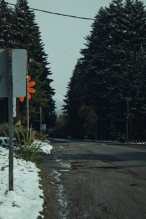 Free A street sign in the snow next to a road Stock Photo