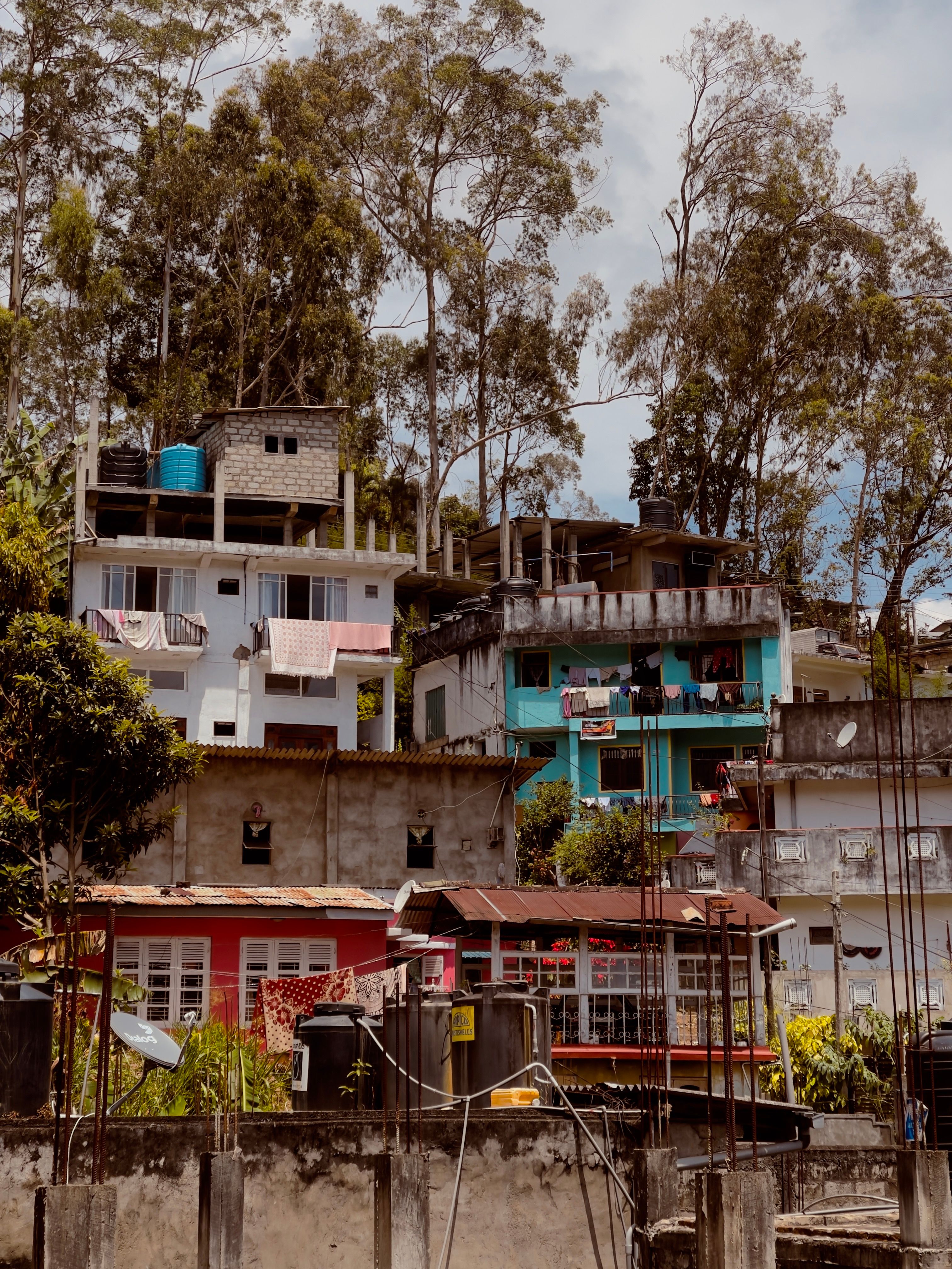 Village homes nestled among tropical trees in Sri Lanka