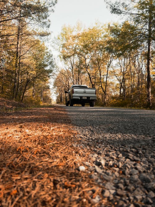 Fotos de stock gratuitas de arboles, camioneta, carretera