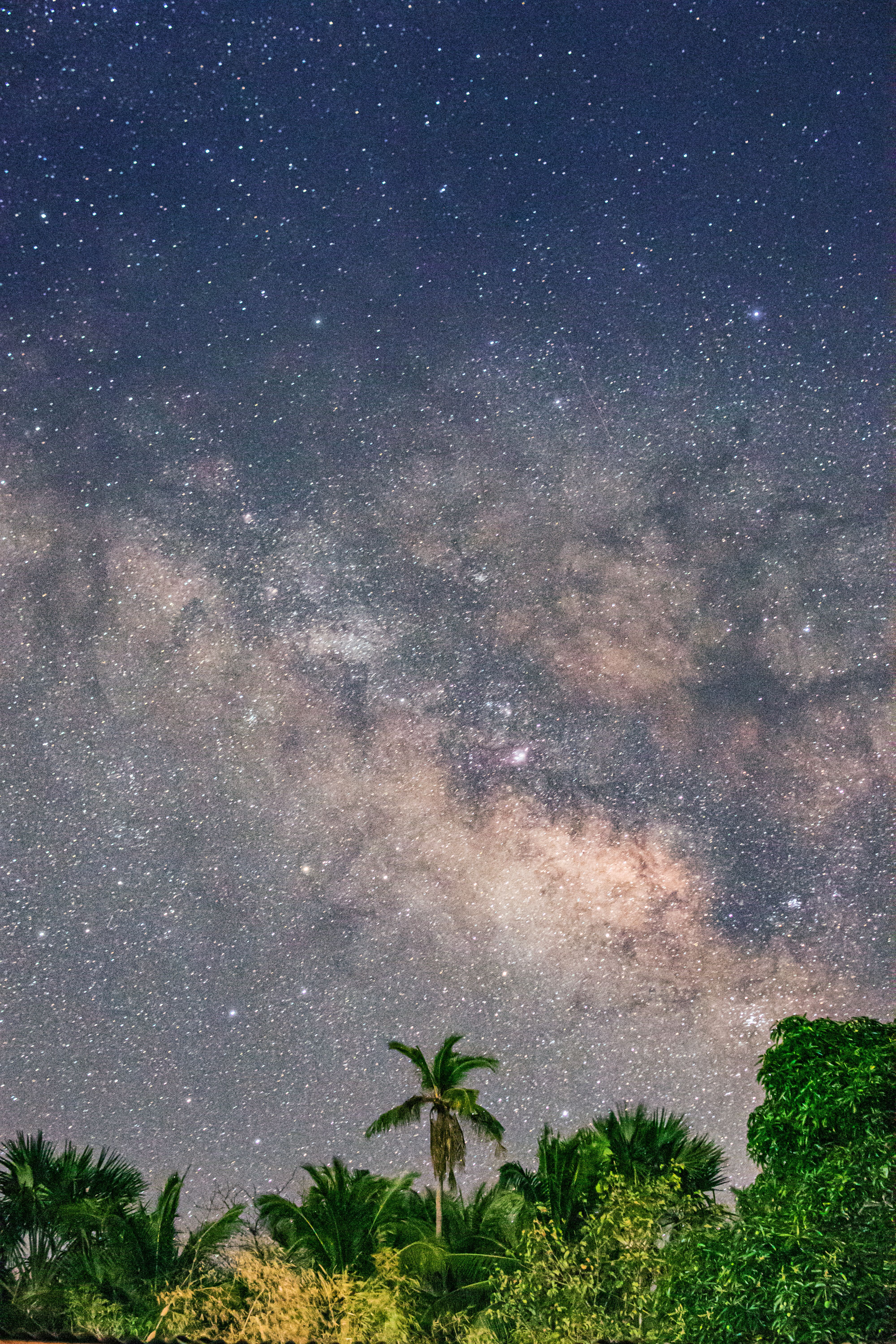 Dazzling view of the Milky Way galaxy above lush palm trees on a clear summer night.