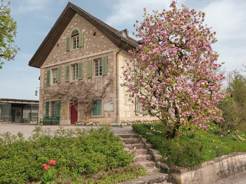 Photos gratuites de arbre, bâtiment, campagne