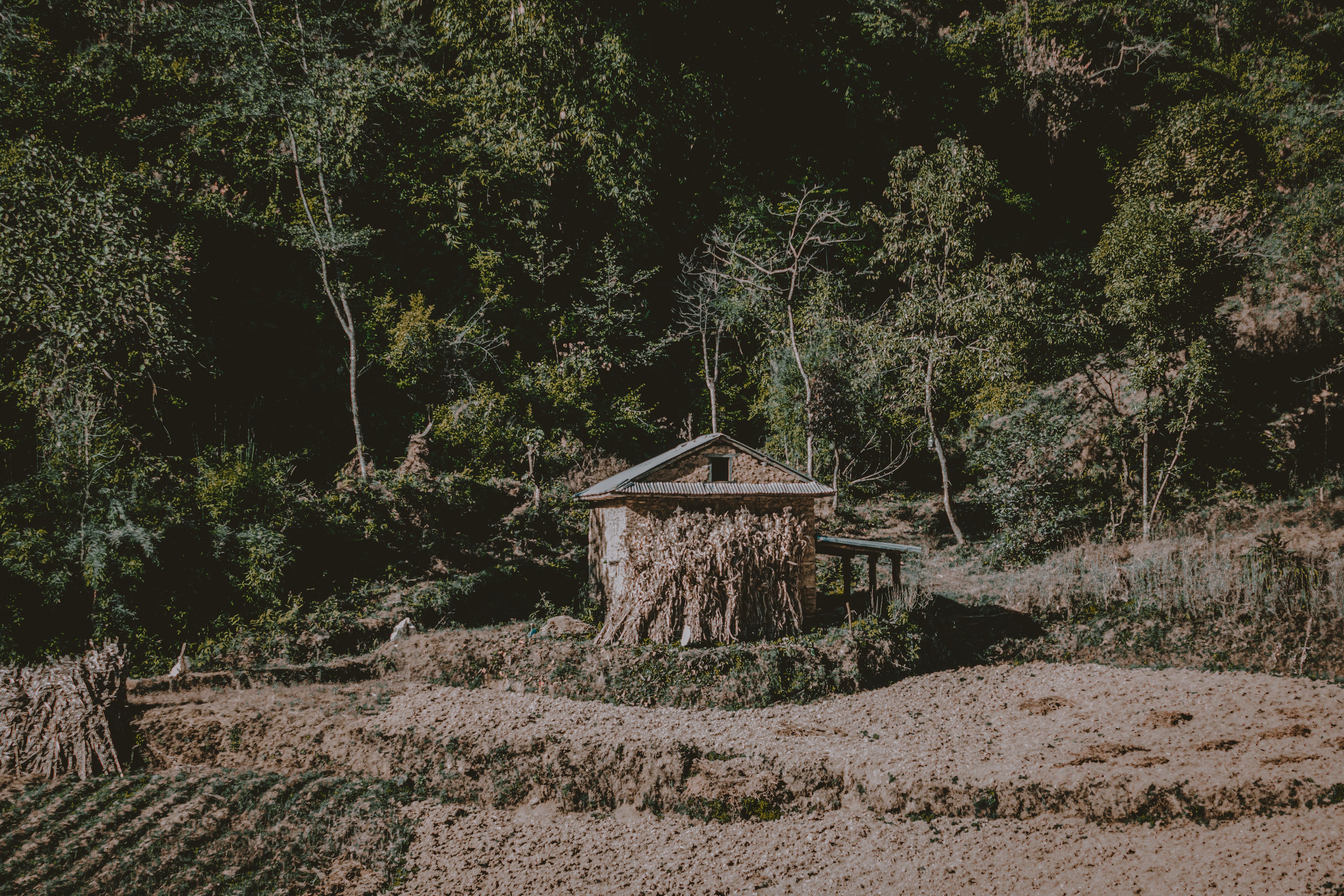 Explore a rustic house set against a lush forest backdrop in Bhaktapur, Nepal.