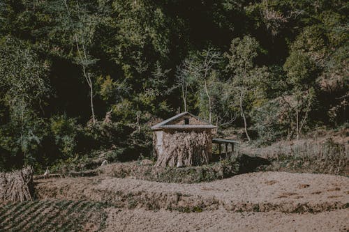 Ilmainen kuvapankkikuva tunnisteilla bhaktapur, laajakulma, metsä