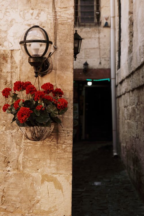 Free Charming urban scene with red flowers in a hanging pot and vintage lamp on a stone wall. Stock Photo