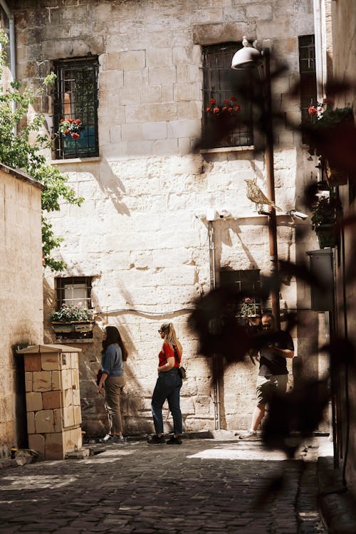 Foto d'estoc gratuïta de carrer, carrers de la ciutat, d'esquena