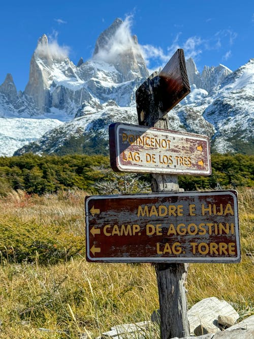 Základová fotografie zdarma na téma cestování, dřevo, fitz roy