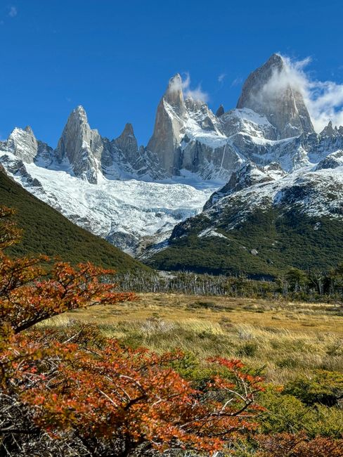 Stunning view of Fitz Roy in Patagonia, surrounded by autumn foliage and clear skies.