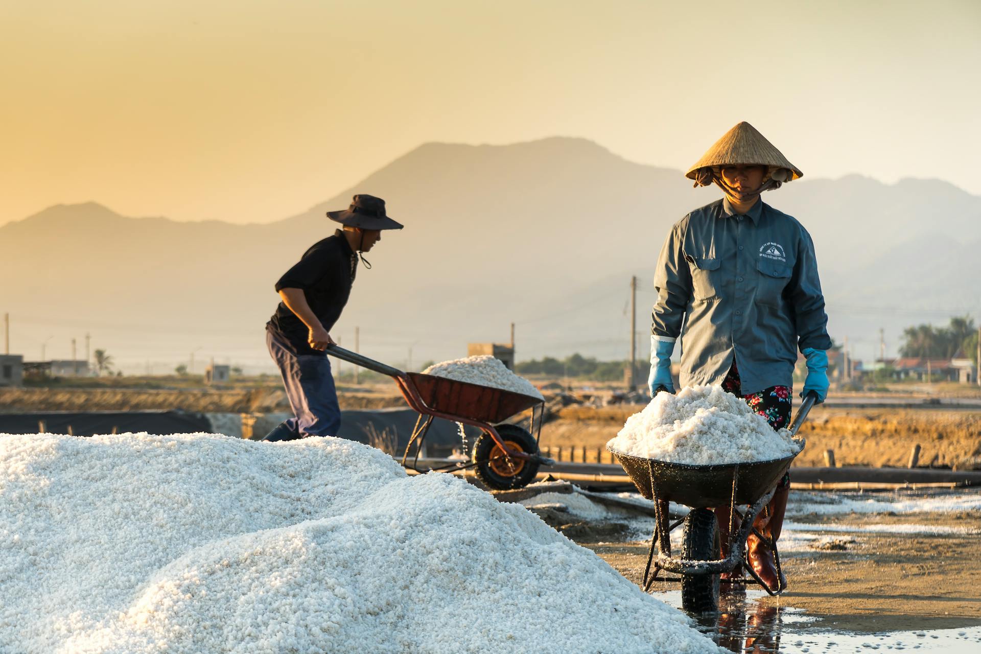 Two workers collecting salt at sunrise, showcasing traditional methods in a scenic outdoor setting.