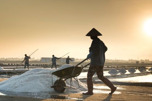 Free Silhouettes of workers harvesting salt at sunset in rural area. Stock Photo