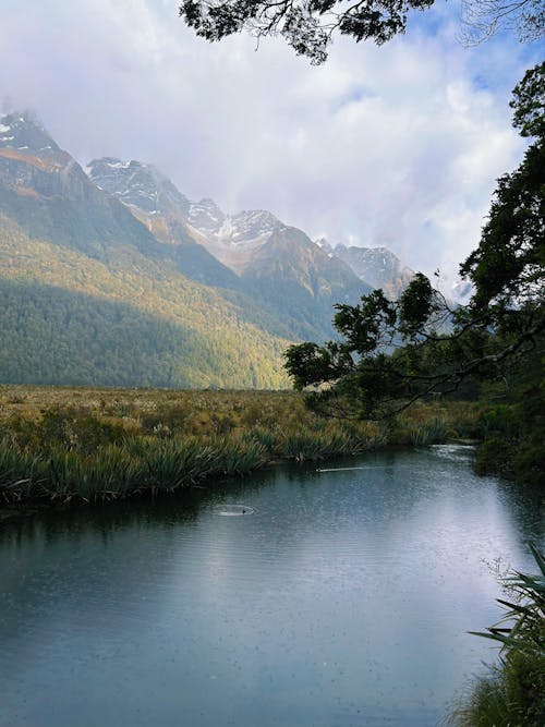 Gratis stockfoto met blauwe bergen, bos natuur, film camera