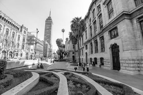 torre latinoamericana, 人, 地標 的 免費圖庫相片