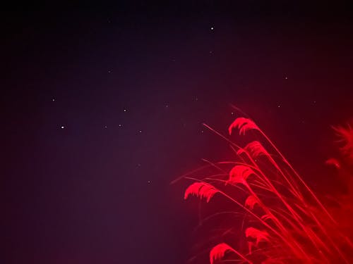 Foto stok gratis abstrak, alam di malam hari, alam yang indah
