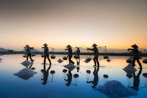 Fotografia Di Sagoma Di Persone