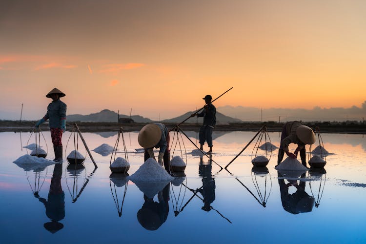 Photo Of People Collecting Sea Salt 