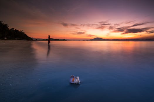 平静的海滩上，夕阳缓缓沉落，贝壳与远方的轮廓依稀可见