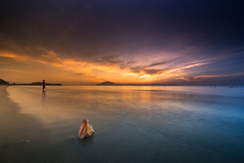 Orilla Del Mar Durante La Hora Dorada