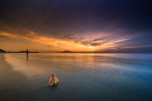 日落时分，宁静的海滩上，前景散落着贝壳，地平线处有一个人影