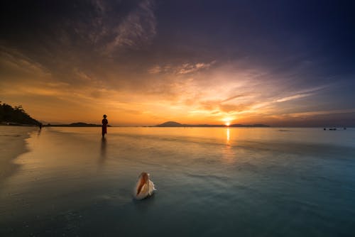 Person Standing On Shore