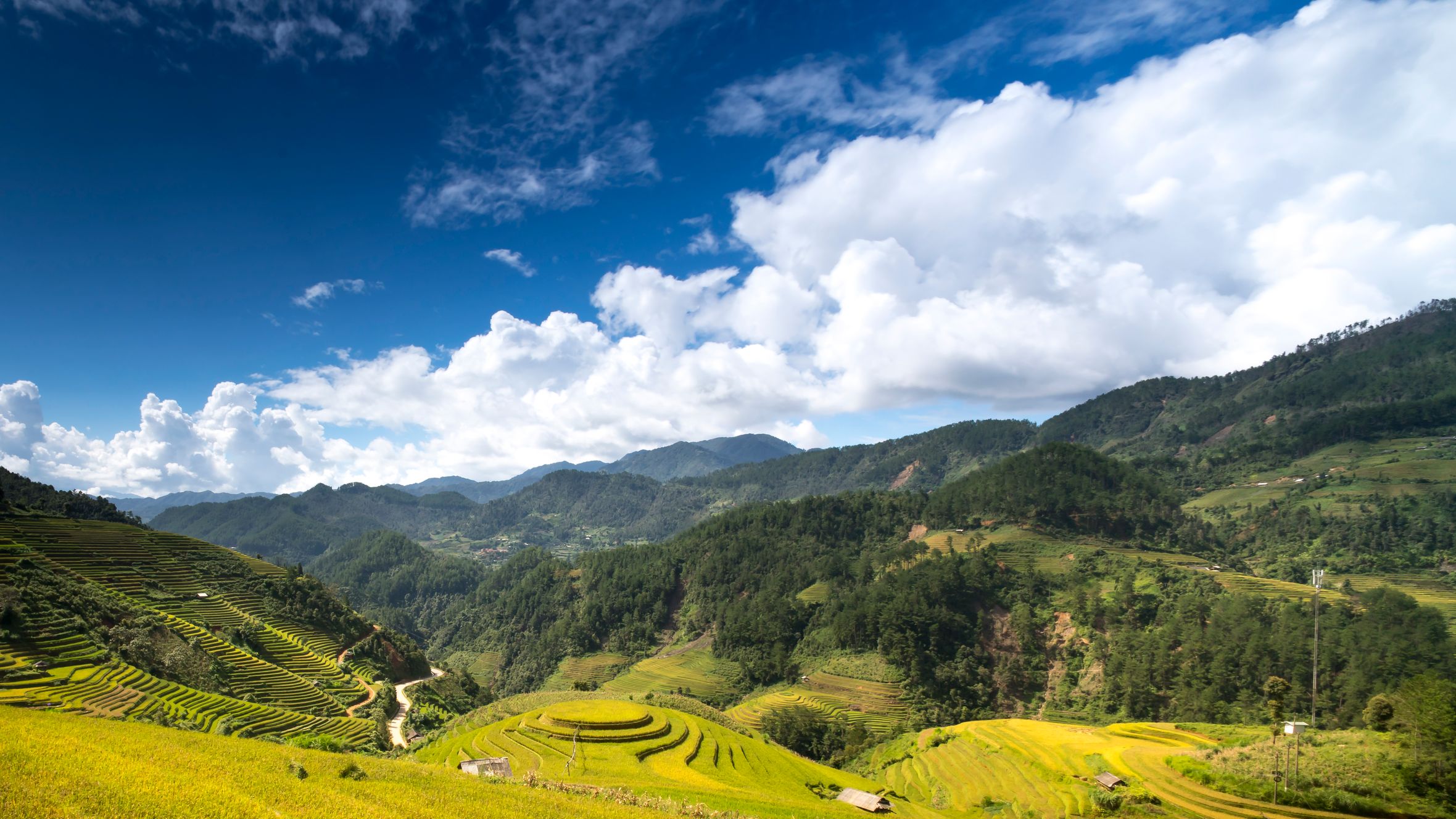Scenic view of lush green rice terraces under a vibrant blue sky with clouds.