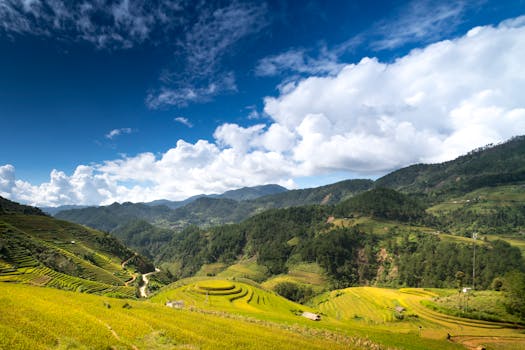 Scenic view of lush green rice terraces under a vibrant blue sky with clouds.