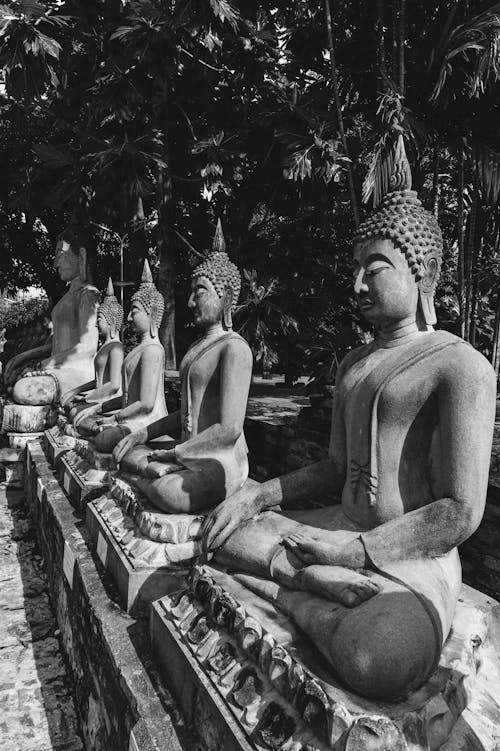 Immagine gratuita di bianco e nero, buddista, città