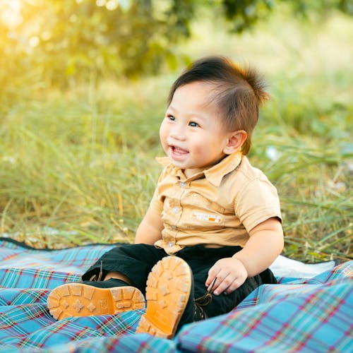 Free A baby is sitting on a blanket in the grass Stock Photo