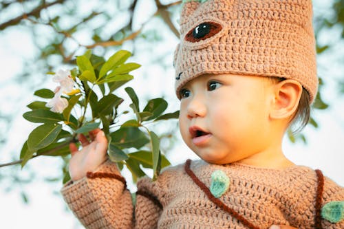 Gratis stockfoto met baby, bladeren, gezicht