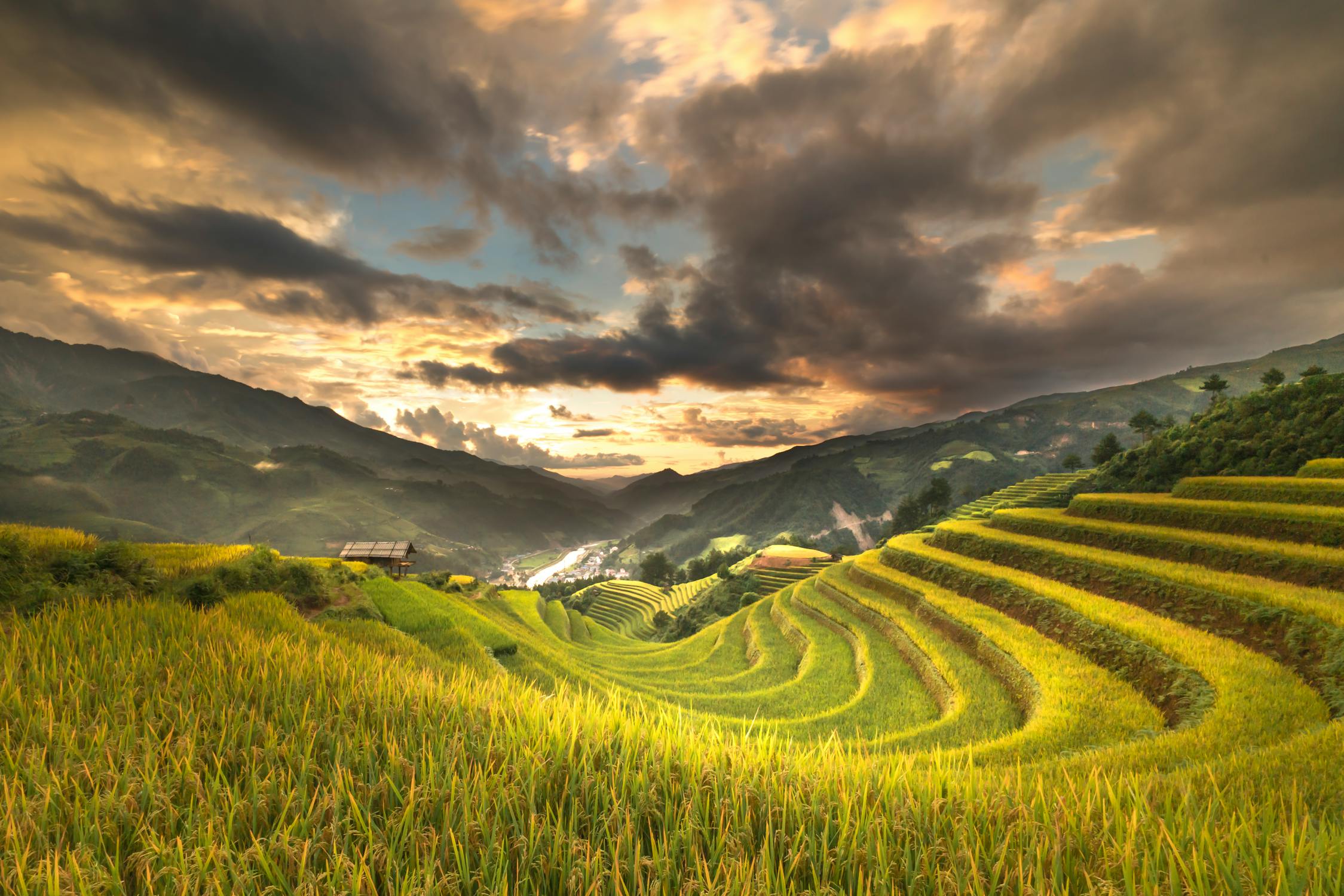 Sunset View of Rice Terrace