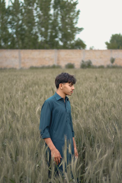 Free a phtograph of a guy in wheat feild  Stock Photo