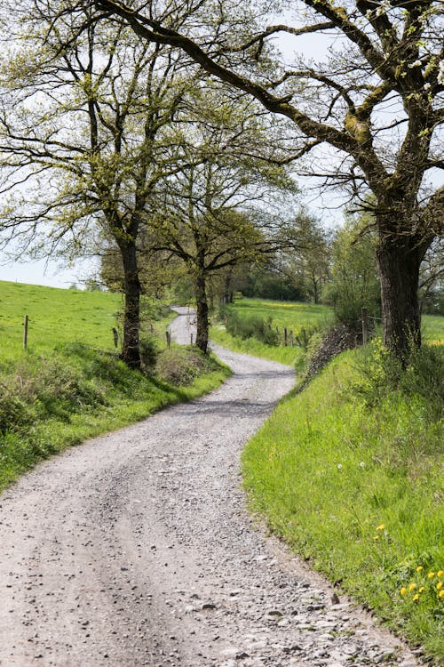 Chemin de randonnée