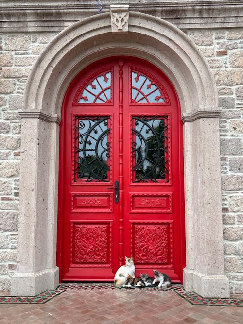 Free Two cats sitting in front of a red door Stock Photo