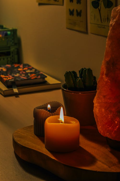 Free stock photo of book, burning candle, study