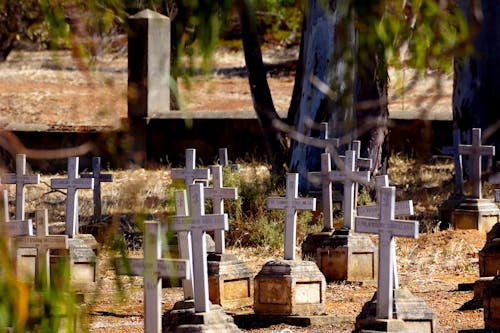 BUSH CEMETRY