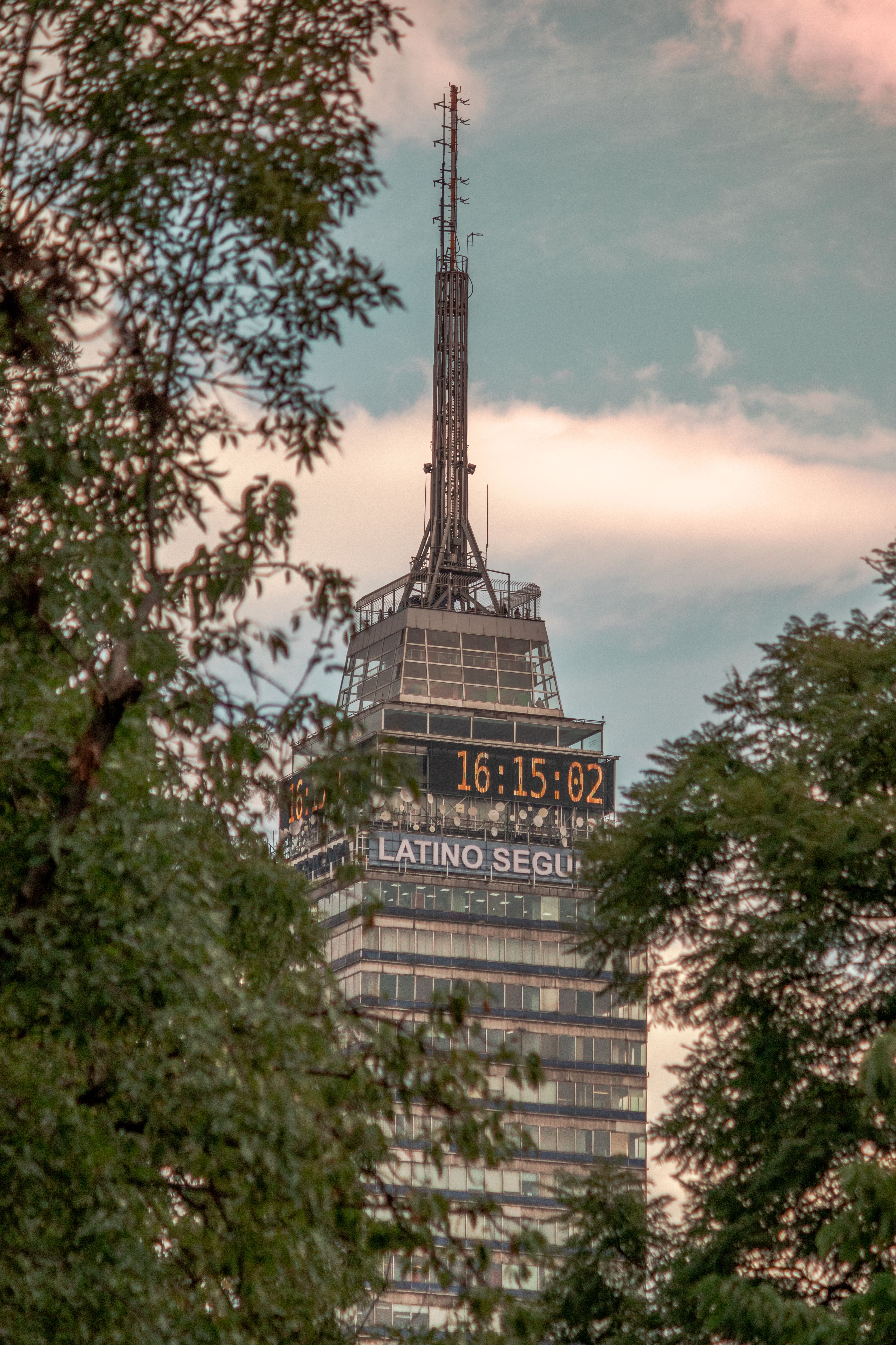 View of the Torre Latinoamericana from behind the Trees, Mexico City ...