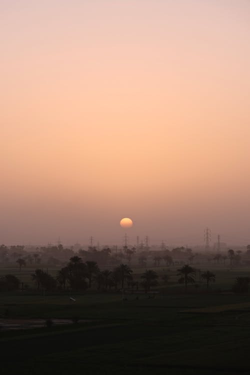 Free stock photo of dawn, egypt, fields