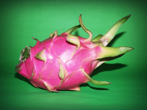 Close Up Photo of Dragon Fruit on Green Surface