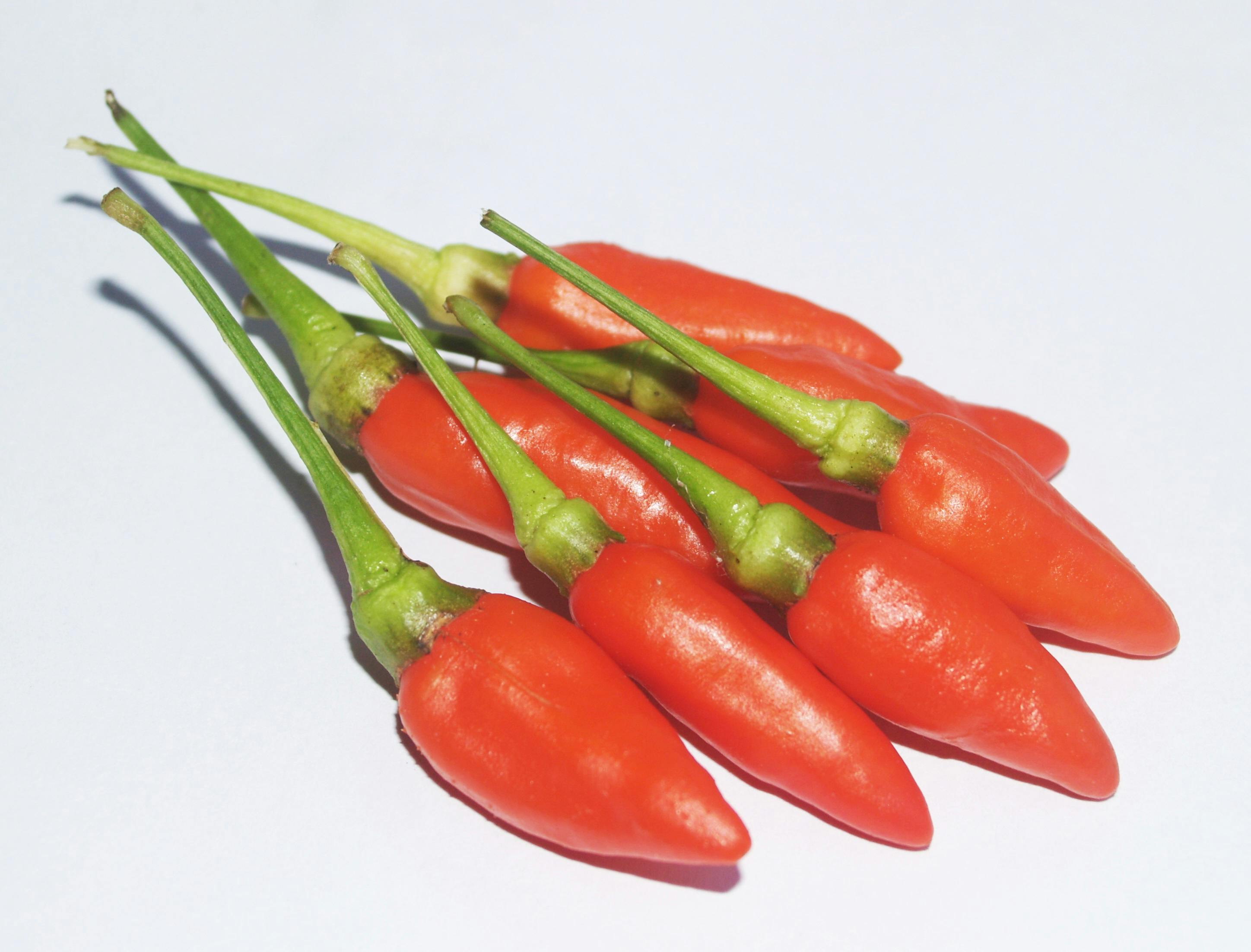 Kostenloses Foto zum Thema: cayennepfeffer, chili, farben