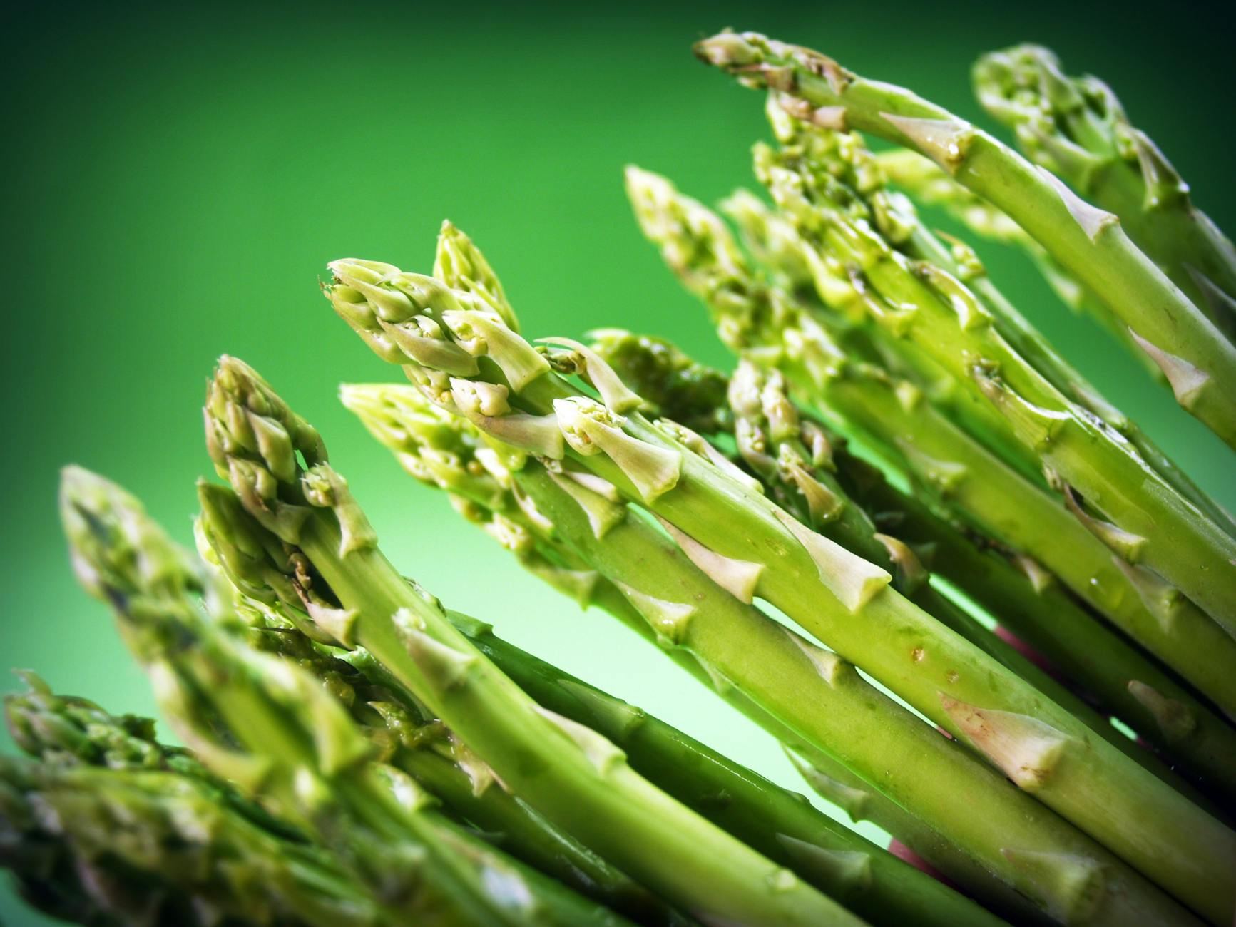 Asparagus Plant Care | Growing Asparagus From Seeds | Garden Season Planting Guide