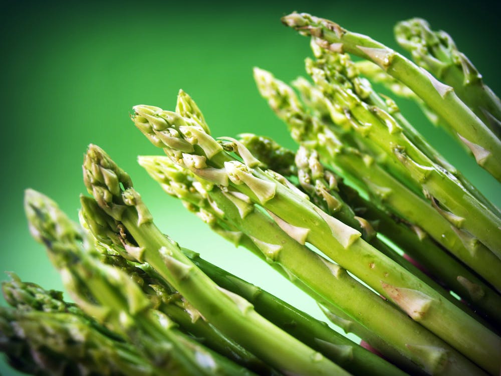 Growing Asparagus | Grow A Vegetable Garden With In Season Vegetables